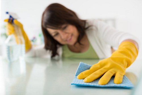 Close-up of a carpet cleaning process for Norwood Green homes and businesses