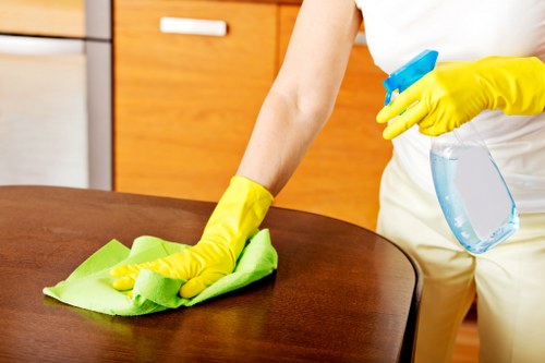 Professional carpet cleaner treating a stain in a home interior