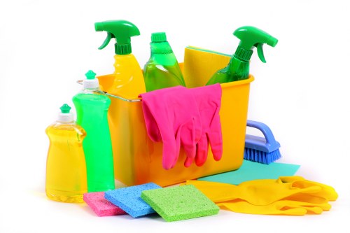 Deep upholstery cleaning for fabric and leather sofas